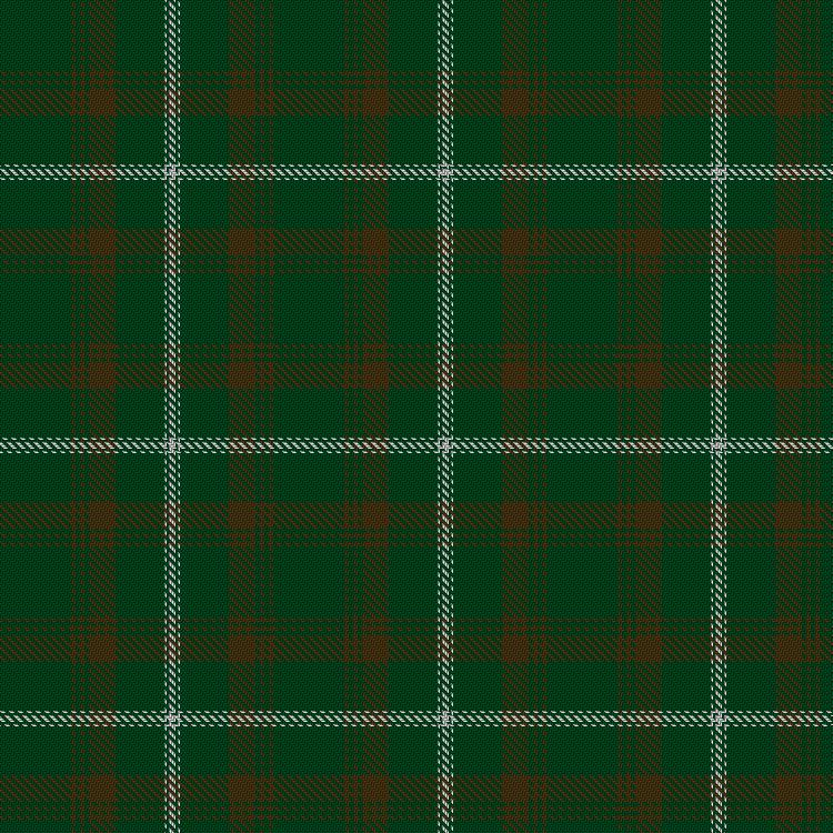 Tartan image: Unidentified Plaid #2. Click on this image to see a more detailed version.