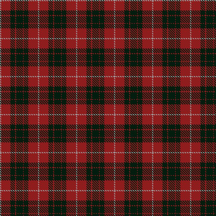 Tartan image: Unidentified Plaid #3. Click on this image to see a more detailed version.