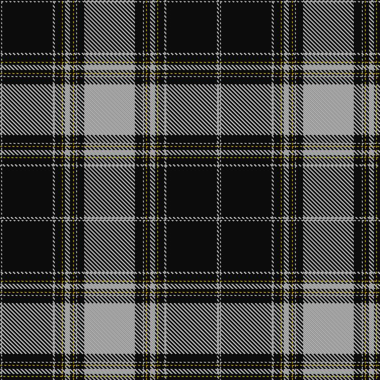 Tartan image: Unidentified Plaid #6. Click on this image to see a more detailed version.