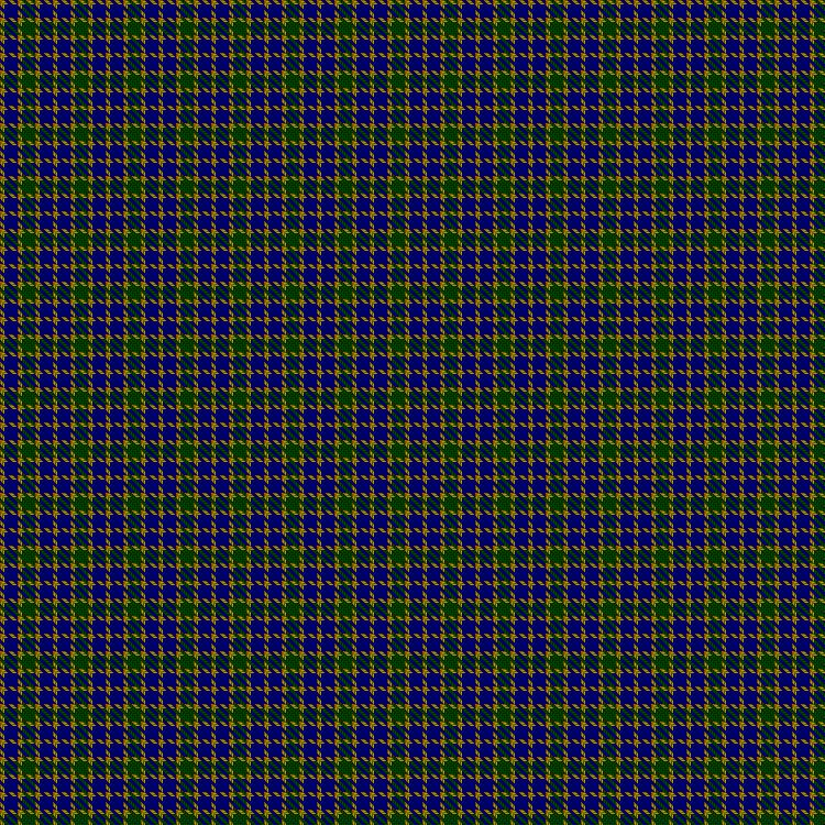 Tartan image: Unidentified Printing #2. Click on this image to see a more detailed version.