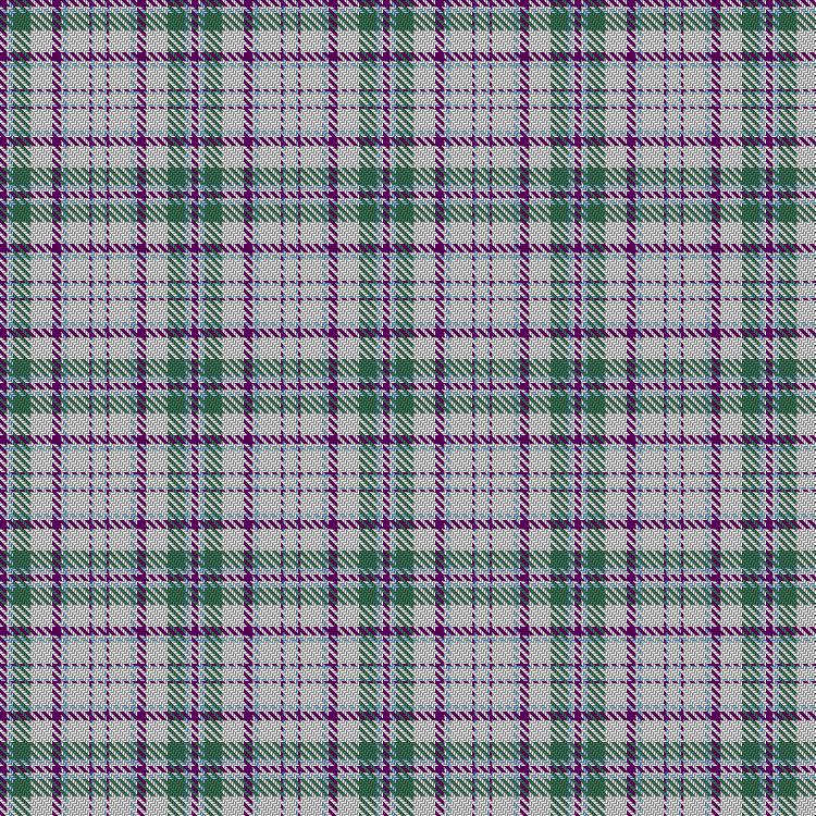 Tartan image: Unidentified Scarlett #2. Click on this image to see a more detailed version.