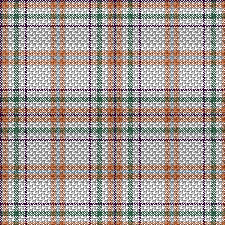 Tartan image: Unidentified Scarlett #4. Click on this image to see a more detailed version.