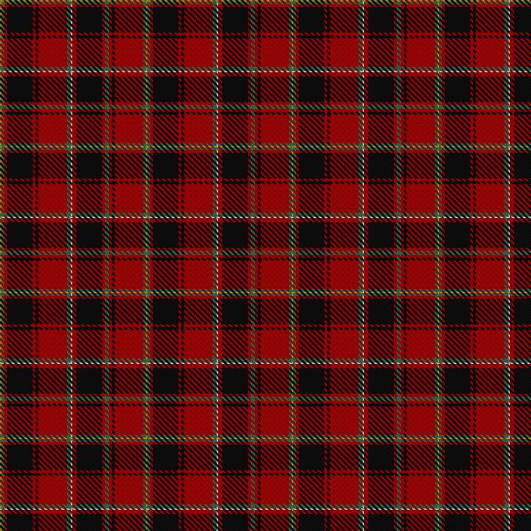 Tartan image: Unidentified Scarlett #8. Click on this image to see a more detailed version.