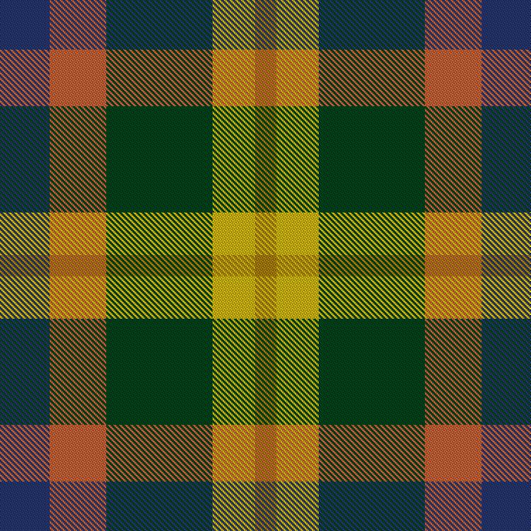 Tartan image: Unidentified Silk Plaid. Click on this image to see a more detailed version.