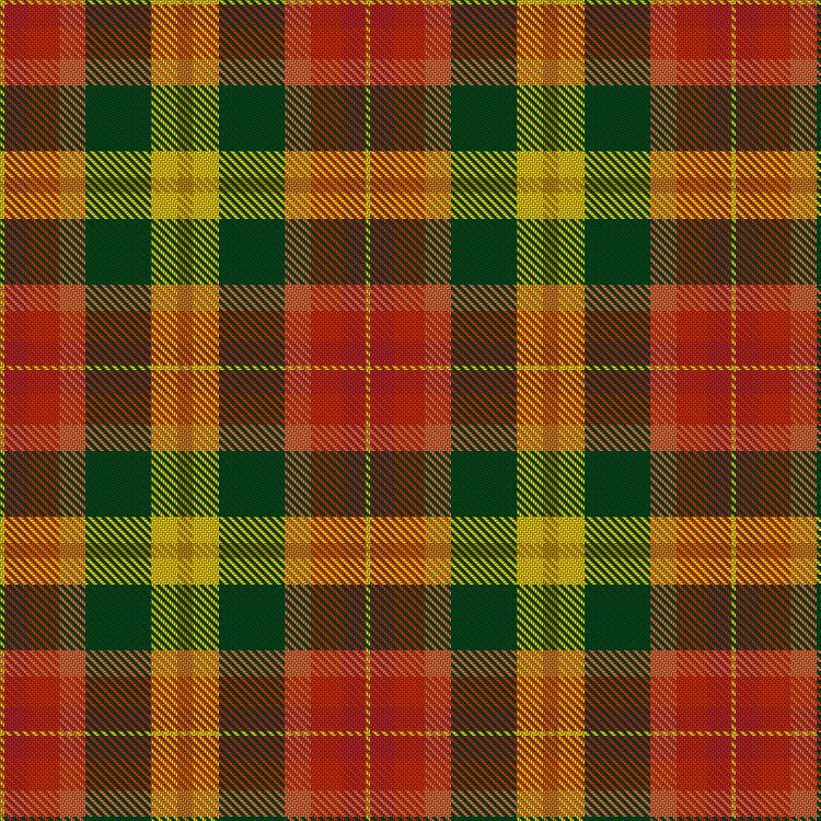 Tartan image: Unidentified Silk Plaid #2. Click on this image to see a more detailed version.