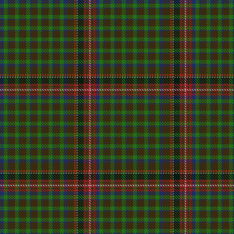 Tartan image: Unnamed C19th – Fancy Pattern #1. Click on this image to see a more detailed version.