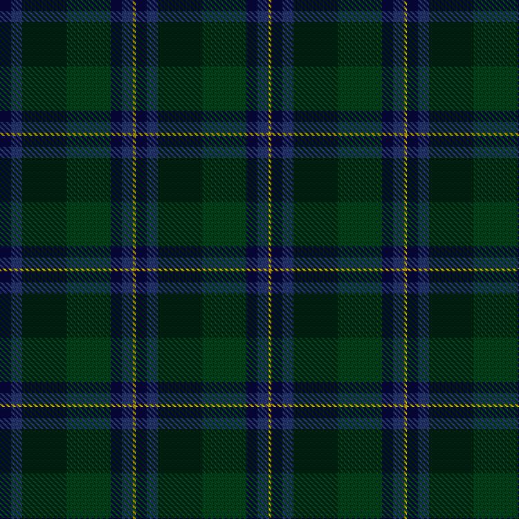 Tartan image: Unidentified Waistcoat. Click on this image to see a more detailed version.