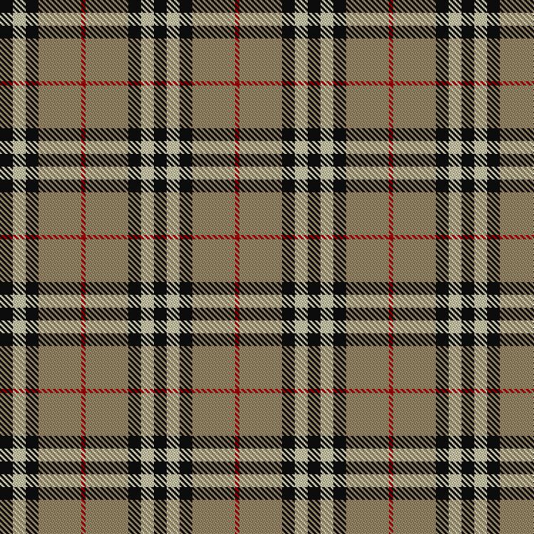 Tartan image: Burberry (Genuine). Click on this image to see a more detailed version.