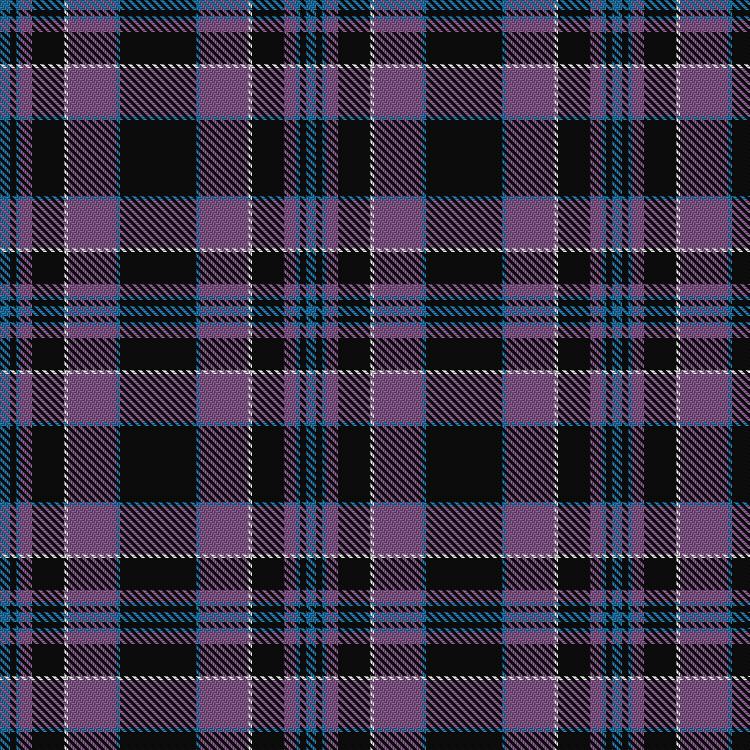 Tartan image: Universal Scientific Industrial. Click on this image to see a more detailed version.
