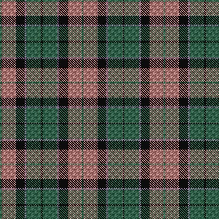 Tartan image: Un-named (D C Dalgliesh) #3. Click on this image to see a more detailed version.