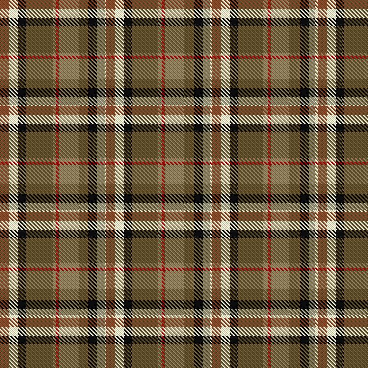 Tartan image: Burberry Counterfeit. Click on this image to see a more detailed version.