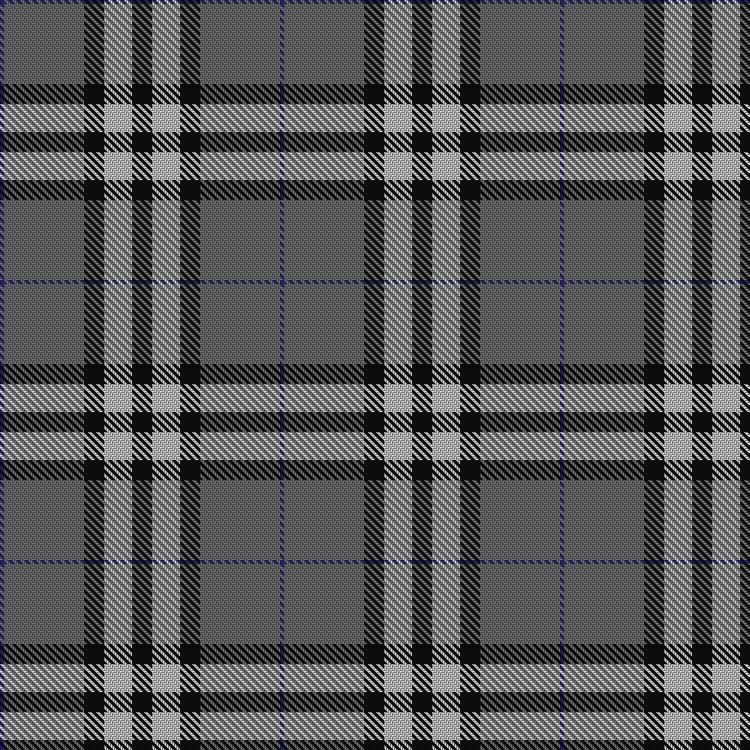 Tartan image: Burberry Grey (Original). Click on this image to see a more detailed version.
