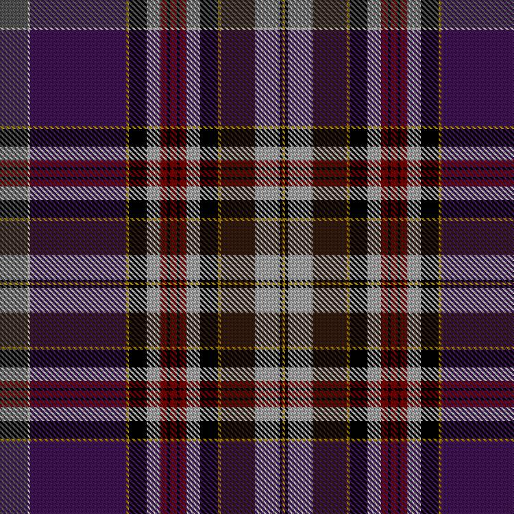 Tartan image: Unnamed C19th - Plaid. Click on this image to see a more detailed version.