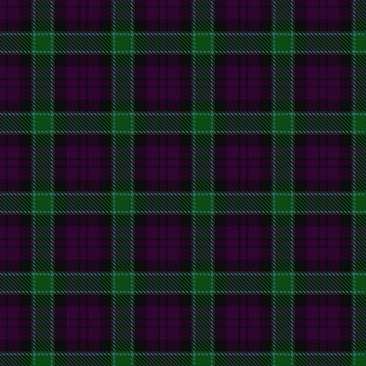 Tartan image: Unnamed 19th Century Plaid. Click on this image to see a more detailed version.