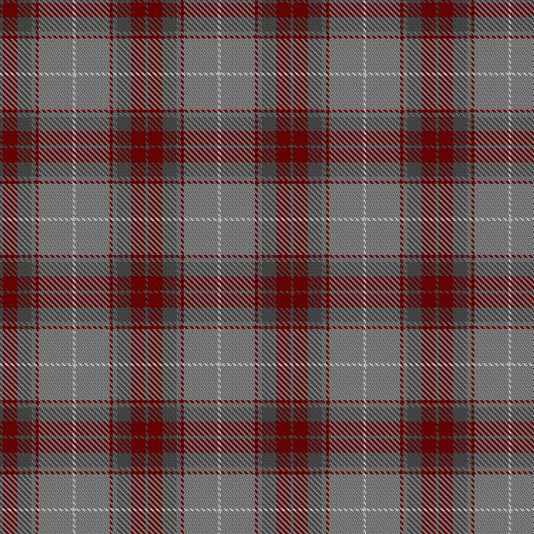 Tartan image: Un-named Dutch. Click on this image to see a more detailed version.