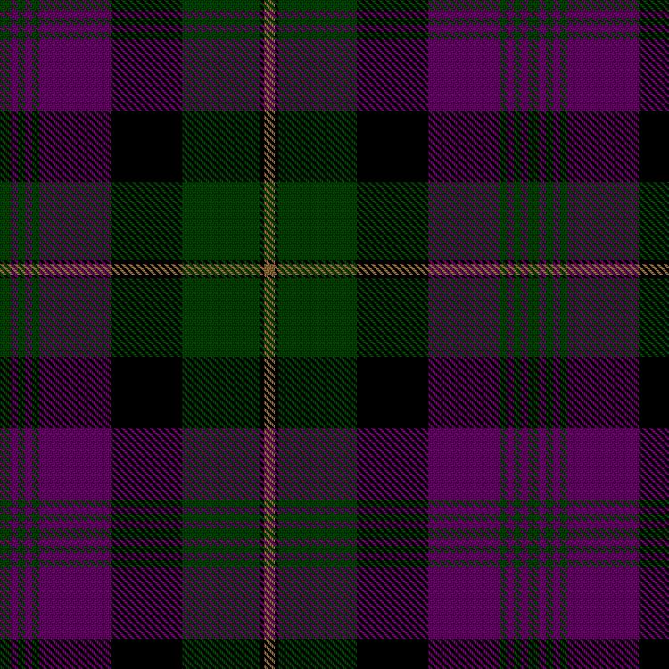 Tartan image: Urbino. Click on this image to see a more detailed version.