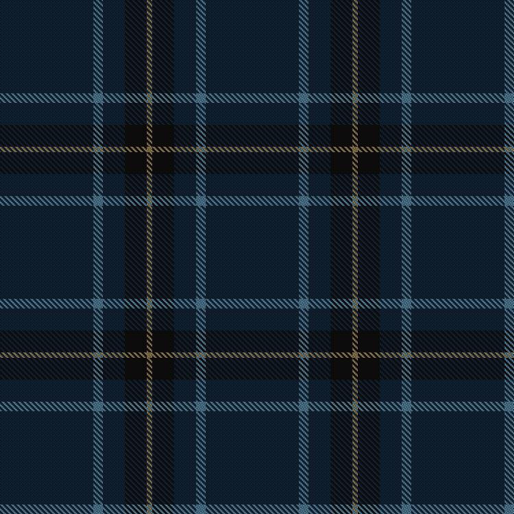 Tartan image: Burnetts & Struth. Click on this image to see a more detailed version.