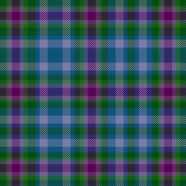 Tartan image: Virginia (USA). Click on this image to see a more detailed version.