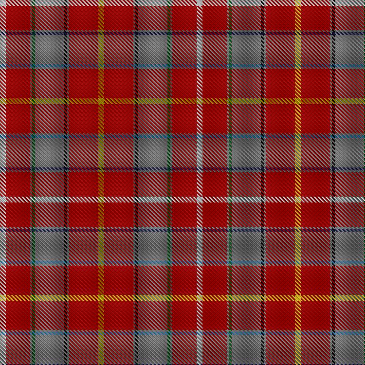 Tartan image: Virginia Military Institute, New Market. Click on this image to see a more detailed version.