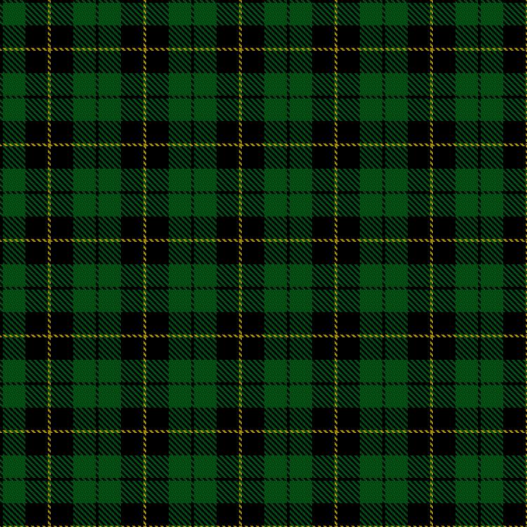 Tartan image: Wallace Hunting. Click on this image to see a more detailed version.