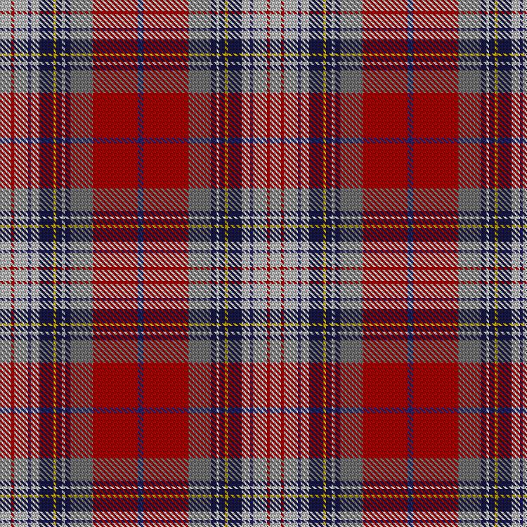 Tartan image: Warden. Click on this image to see a more detailed version.