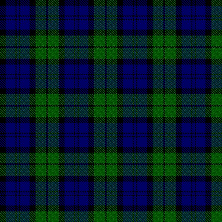 Tartan image: Wartley Hunting. Click on this image to see a more detailed version.