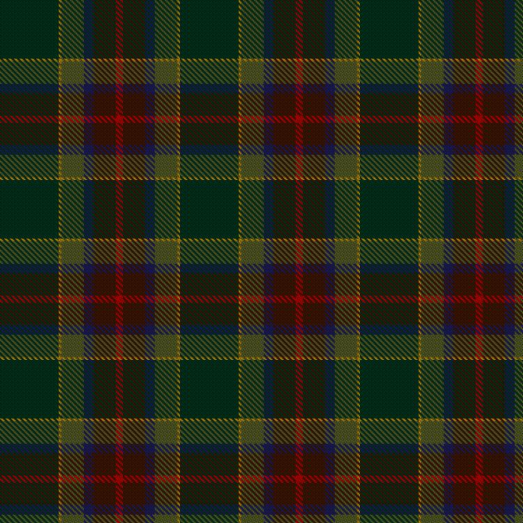 Tartan image: Waterford, County. Click on this image to see a more detailed version.