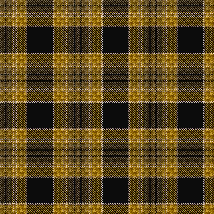 Tartan image: Wcwm 1399. Click on this image to see a more detailed version.