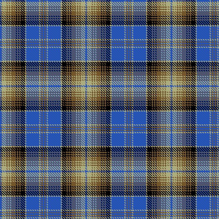 Tartan image: Wcwm 1586. Click on this image to see a more detailed version.
