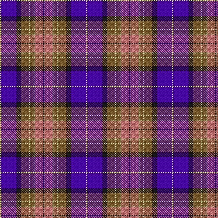 Tartan image: Wcwm 1893-11. Click on this image to see a more detailed version.