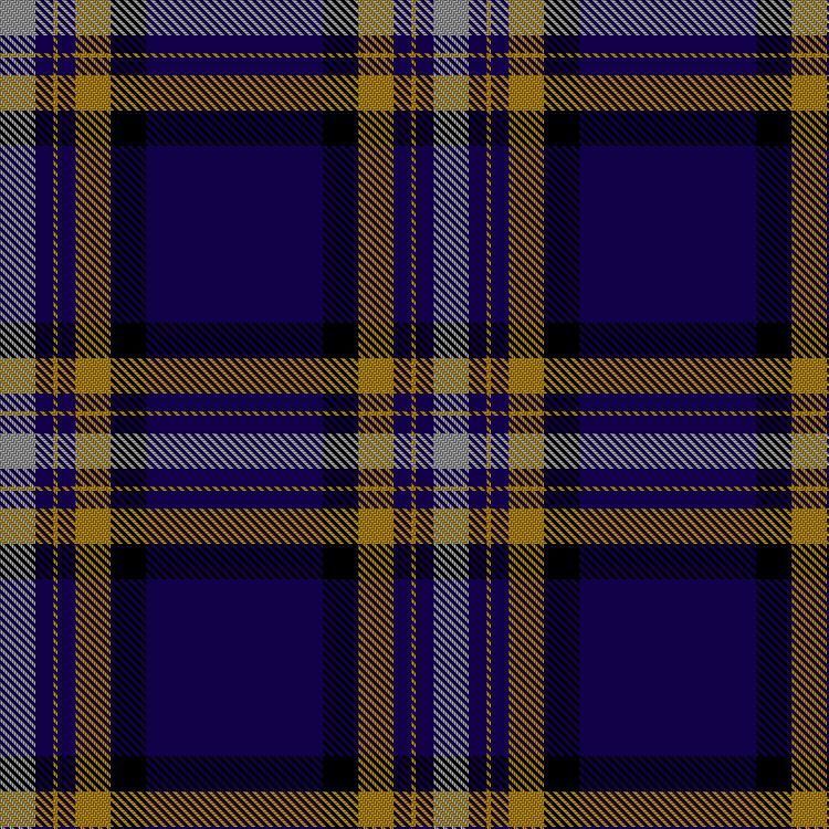 Tartan image: Wcwm 4907-2. Click on this image to see a more detailed version.