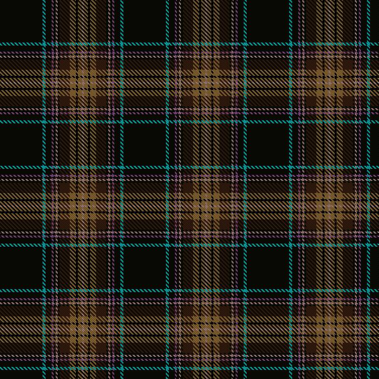 Tartan image: Wcwm 849-3. Click on this image to see a more detailed version.