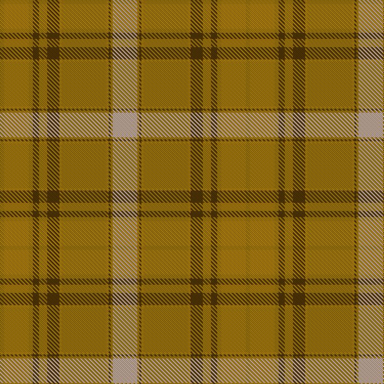 Tartan image: Wcwm 969-2. Click on this image to see a more detailed version.