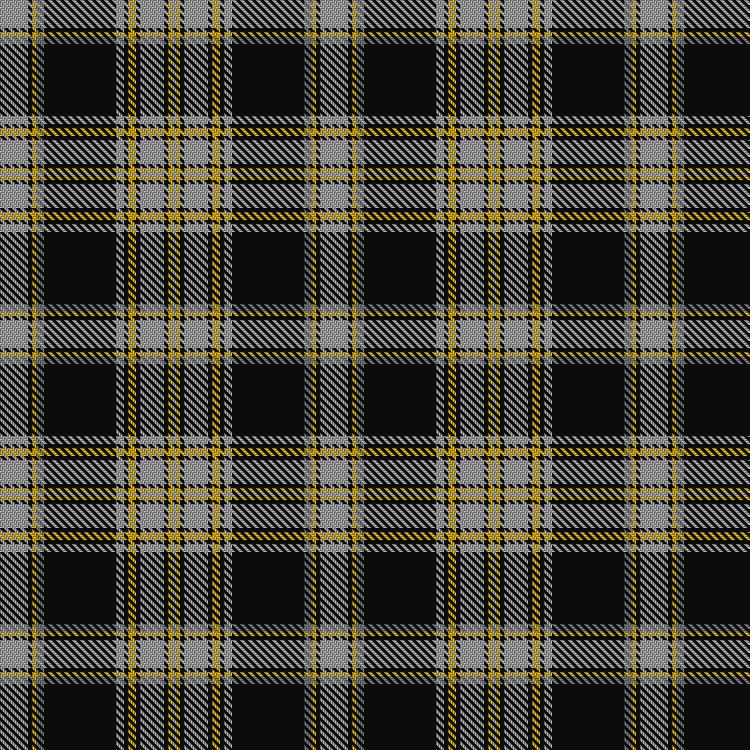 Tartan image: Wcwm 972-2. Click on this image to see a more detailed version.