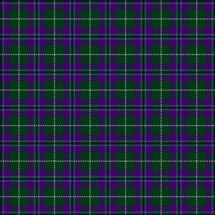 Tartan image: Wellington No 229. Click on this image to see a more detailed version.