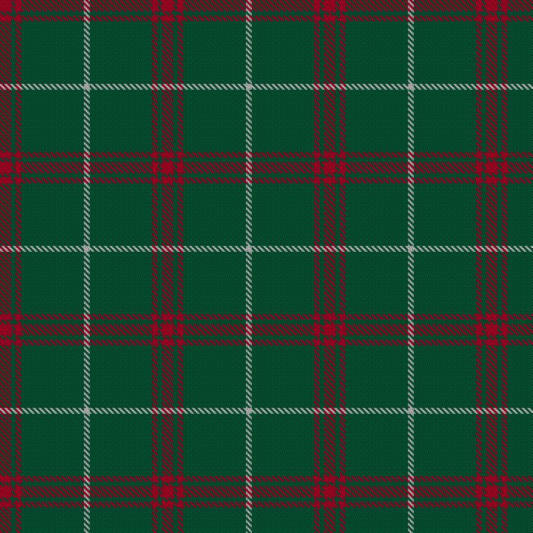 Tartan image: Welsh National. Click on this image to see a more detailed version.