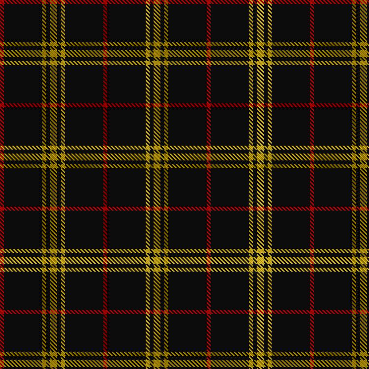 Tartan image: Welsh National #3. Click on this image to see a more detailed version.