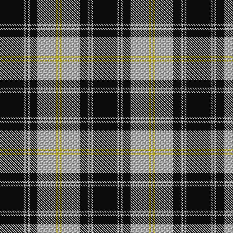 Tartan image: West Point. Click on this image to see a more detailed version.
