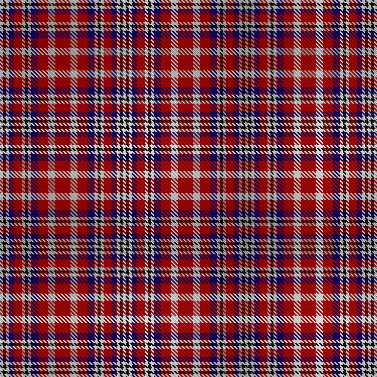 Tartan image: Westgaard of Kileughterco (Personal). Click on this image to see a more detailed version.