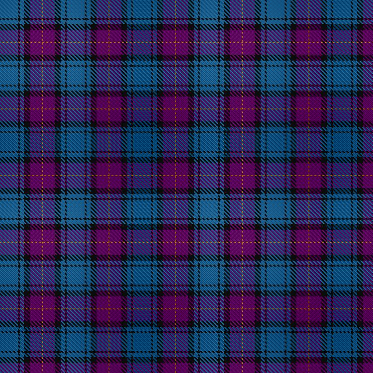 Tartan image: Joker, The. Click on this image to see a more detailed version.