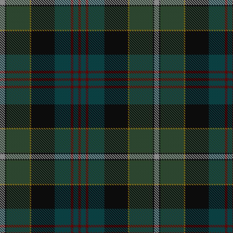 Tartan image: Whitson. Click on this image to see a more detailed version.