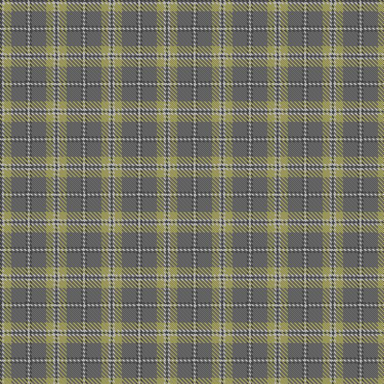 Tartan image: Cairngorm. Click on this image to see a more detailed version.