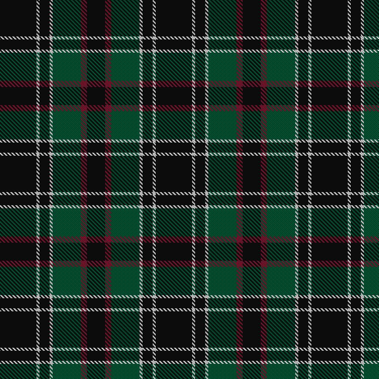 Tartan image: Wild Highlanders. Click on this image to see a more detailed version.