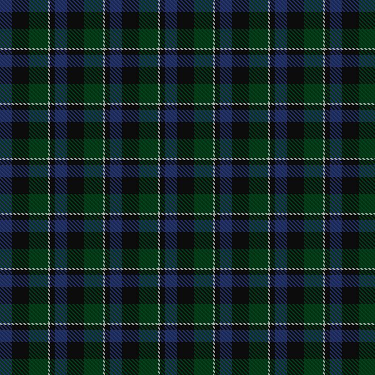 Tartan image: Wilsons' Folio 131. Click on this image to see a more detailed version.