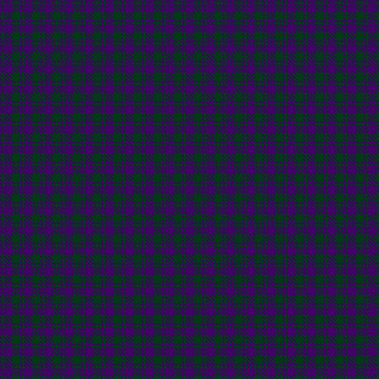 Tartan image: Wilsons' No. 211. Click on this image to see a more detailed version.