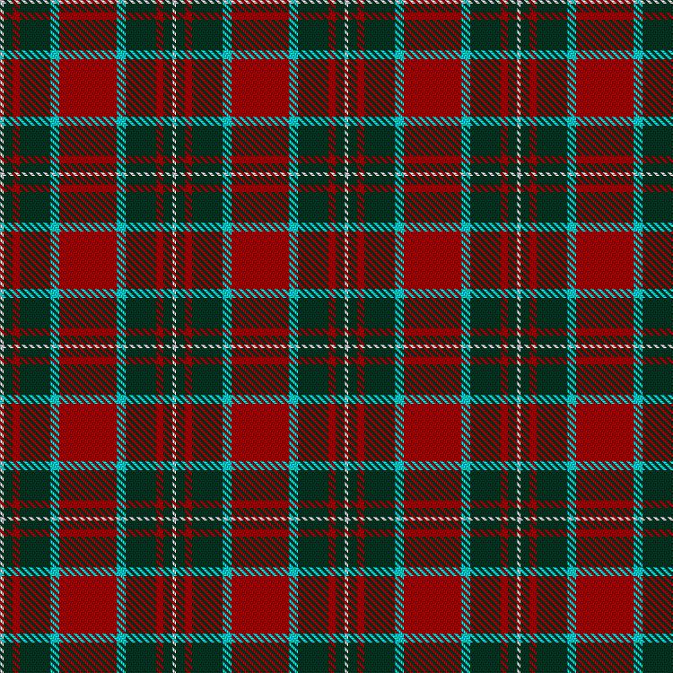 Tartan image: Wilsons' No.005. Click on this image to see a more detailed version.