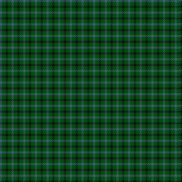 Tartan image: Wilsons' No.045. Click on this image to see a more detailed version.