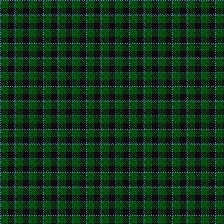 Tartan image: Wilsons' No.050. Click on this image to see a more detailed version.