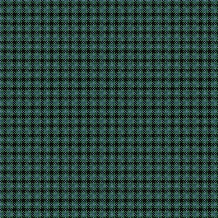 Tartan image: Wilsons' No.053. Click on this image to see a more detailed version.