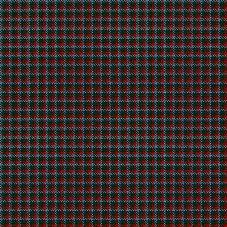 Tartan image: Wilsons' No.061. Click on this image to see a more detailed version.